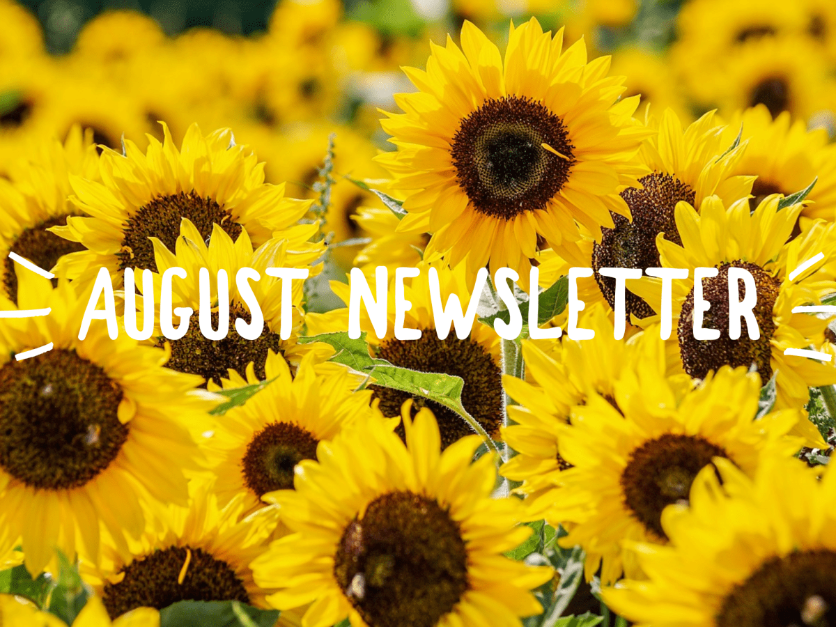 August Newsletter 2022