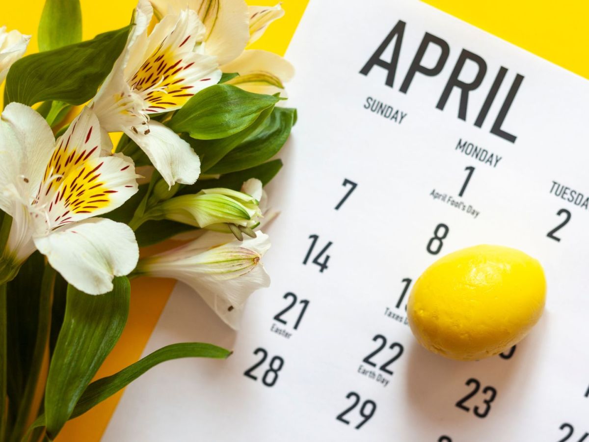 April 2024 Newsletter