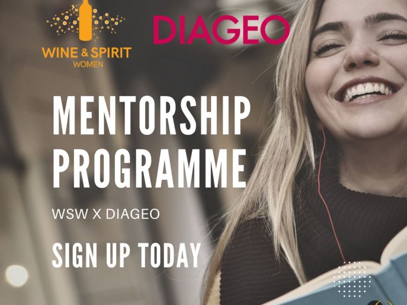 WSW x Diageo Mentorship Programme